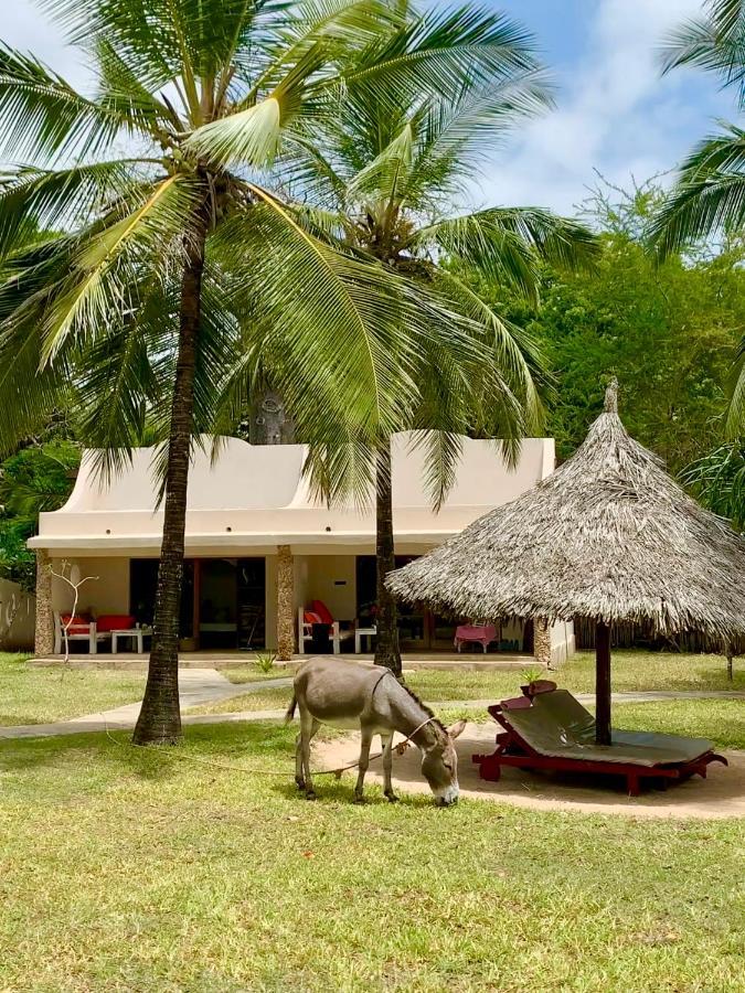 Eleven Pearl Boutique Hotel & Spa Diani Beach Eksteriør billede